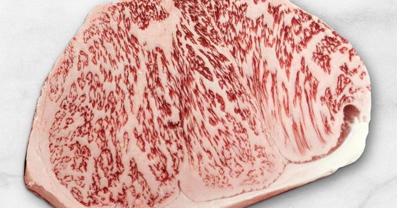 a5-grade-japanese-wagyu-terroir-flight.db2cc5ff90f239cd0797fe273483a9ac.jpg