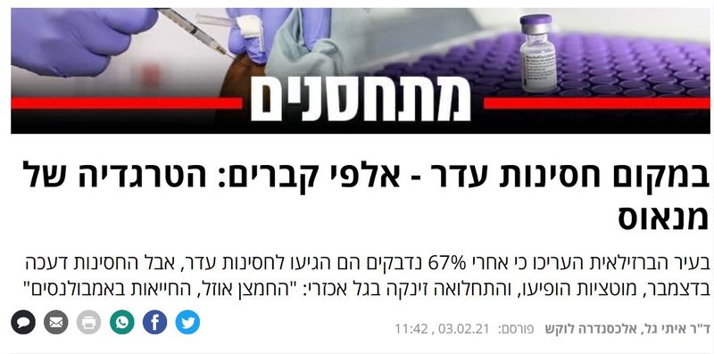 חסינות עדר.jpg