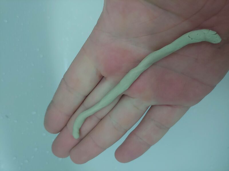 10.thumb.jpg.8ea69fec3960d364c4301a769e40e652.jpg