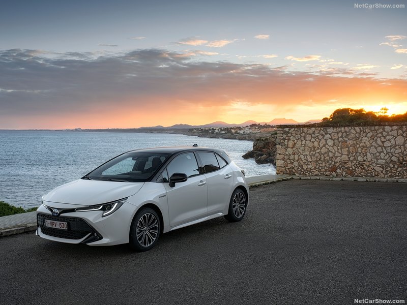 Toyota-Corolla_Hatchback_EU-Version-2019-800-03.jpg.af72fcd3816d07074d01b2ec88de4da0.jpg