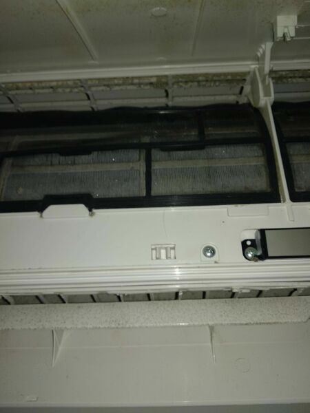 IMG_20210420_055300.thumb.jpg.3d4f89c07142d2cbdf2082f127bdc670.jpg