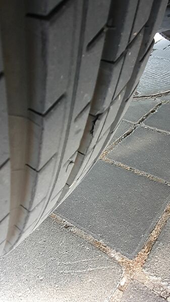 20210604_171644.jpg
