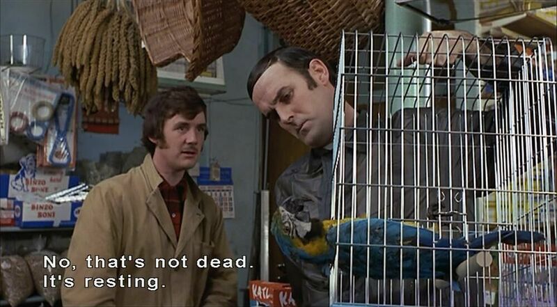 Dead-parrot-2.thumb.jpg.616fcb7a63523feaca66c55d0db906d3.jpg