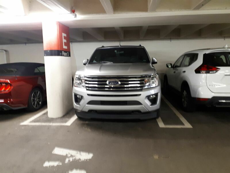 20190429_082615.jpg