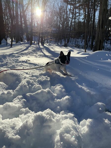 7F7208A7-7125-4D48-8F7B-506FEB2A90F7.jpeg
