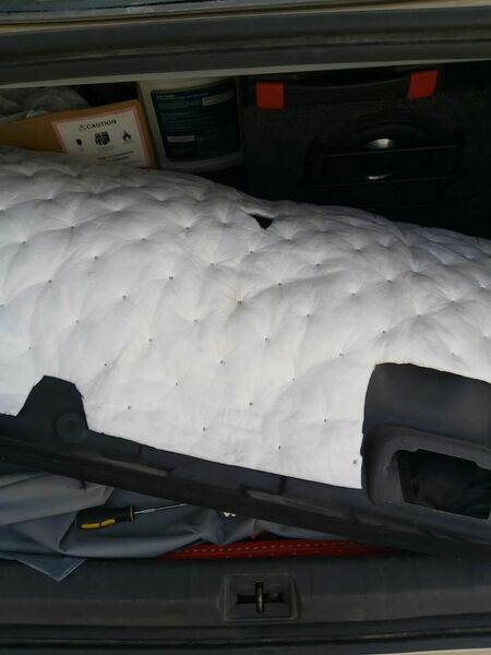 trunk-liner.thumb.jpg.9365d2c47aa5edf9d3144fe4a5366558.jpg