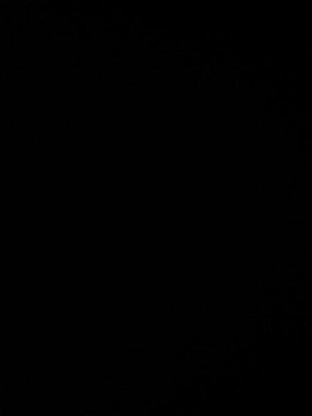 602174969_WhatsAppImage2022-01-03at07_25_36.thumb.jpeg.9430004b4ea65209dd92ee28fc42405a.jpeg