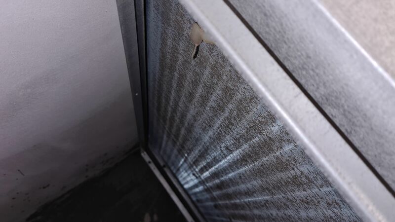 20220128_123503.jpg