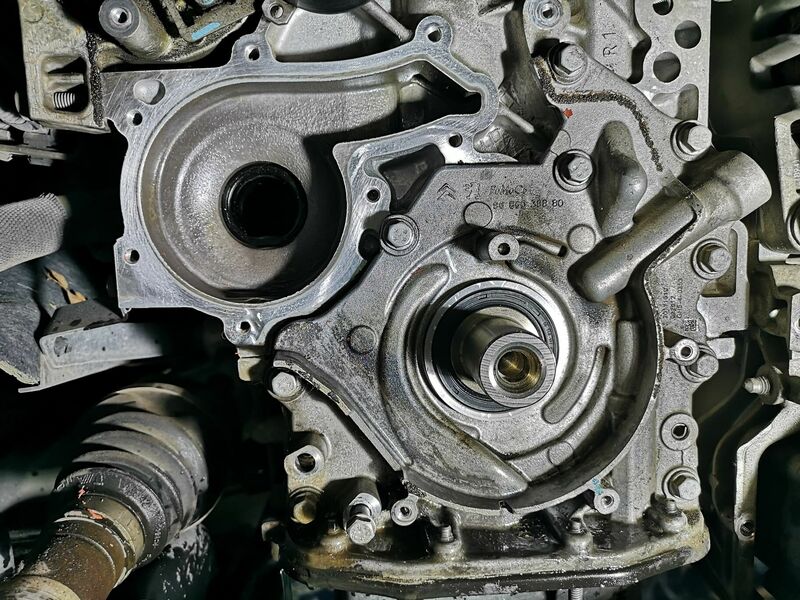 IMG-20220202-WA0037.thumb.jpg.0d8dd893d4ae24f440556beaf808141f.jpg