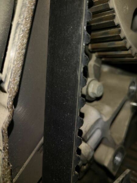 IMG-20220202-WA0045.thumb.jpg.e4a39953195d491be5220bf8b458f684.jpg