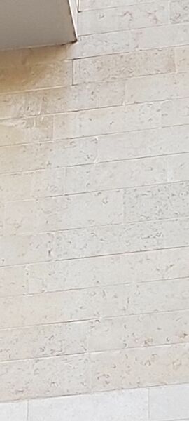 20220314_063120.jpg