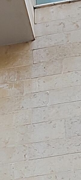 20220314_063138.jpg