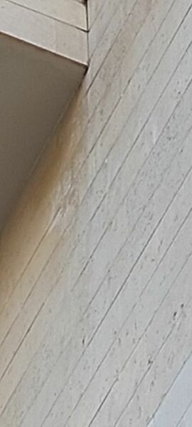 20220314_063215.jpg