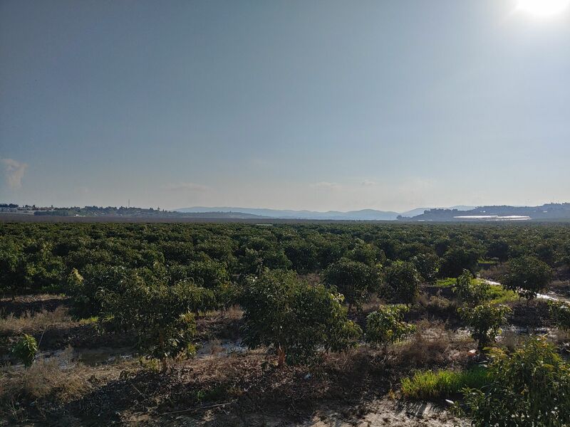 20220216_083836_HDR.jpg