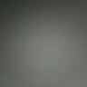 zevi3190