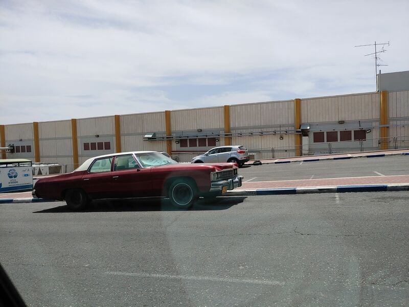 20220422_120519.jpg