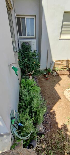 image.thumb.jpeg.6d9e08dc0c1ca7d825c6db6271e5a445.jpeg