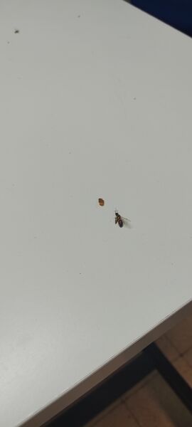 IMG_20220703_211028.jpg