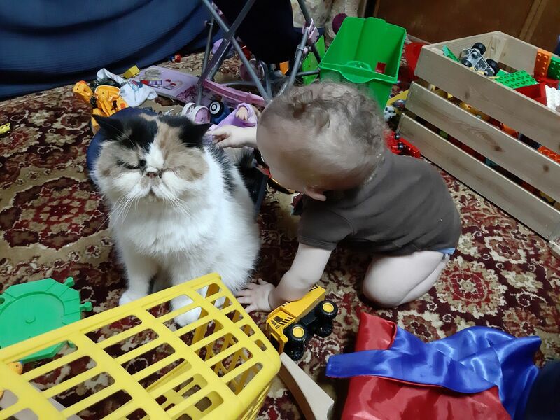 20190628_195804.jpg
