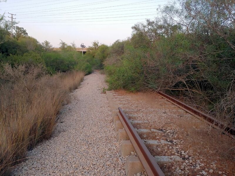 20220816_191622_HDR.thumb.jpg.2dca1e05abf42cfff7d4e5db3edb5b82.jpg