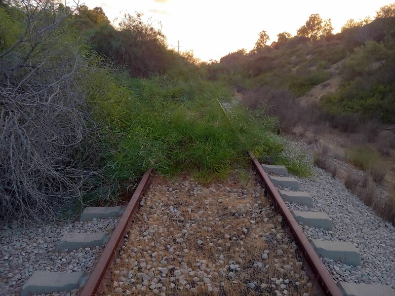 20220816_191734_HDR.thumb.jpg.1e25f17d500d188301ffd50e518ab0da.jpg