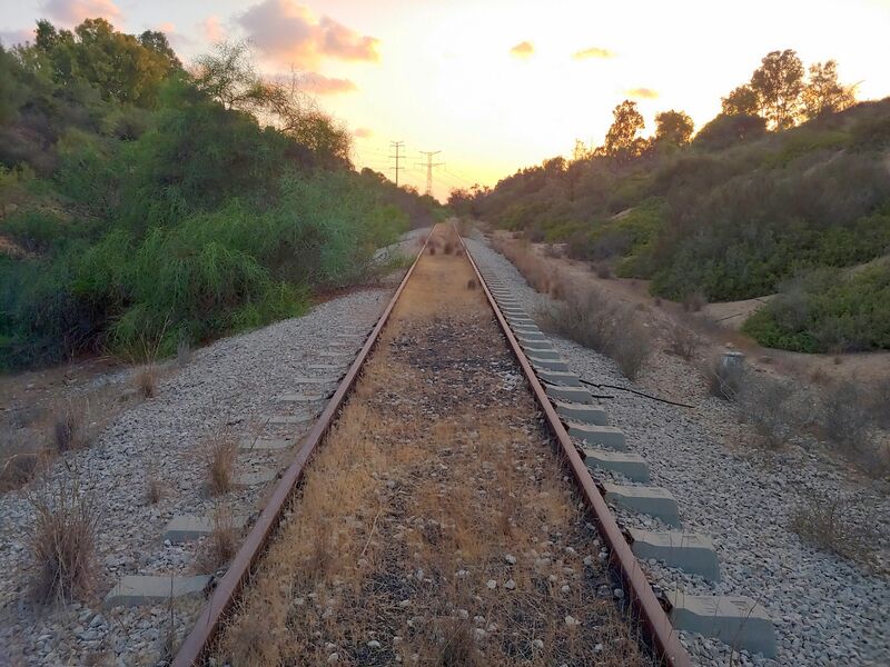 20220816_191828_HDR.thumb.jpg.c3de767b5b252e1913d5a3ed5a26ee56.jpg