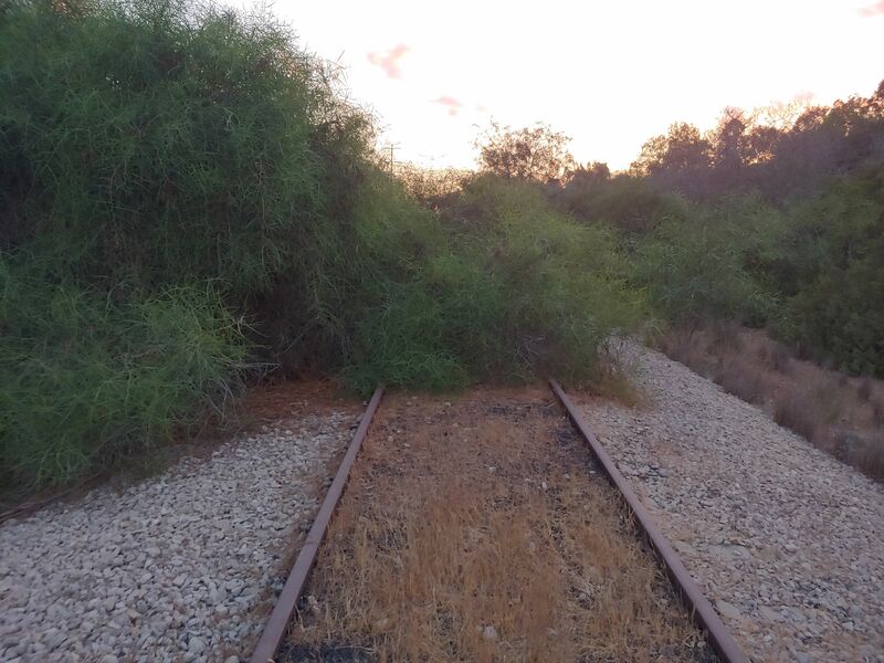 20220816_192051_HDR.thumb.jpg.c006ba043c77a7cbb2ab09f0d425332b.jpg