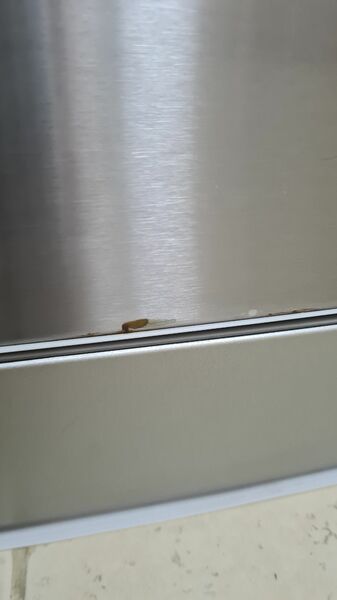 20220823_171058.jpg
