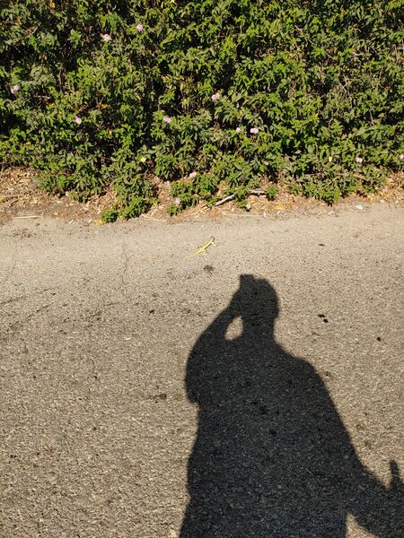 20220827_092542.jpg