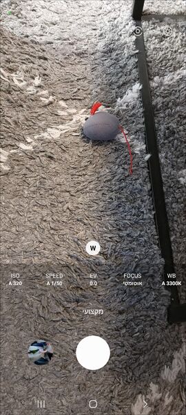 Screenshot_20220820-165044_Camera.jpg