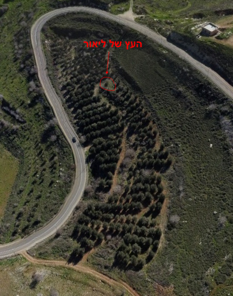 screenshot-www.google.com-2022_10.25-09_45_58.thumb.png.a7e4abd218488ab19c8e29eb9fe91525.png