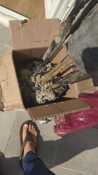IMG-20221103-WA0006.jpeg