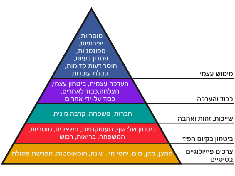 image.thumb.png.b6b705ff31e023d3c34f7e9e882ecb02.png