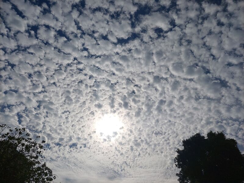 20221127_105241.jpg