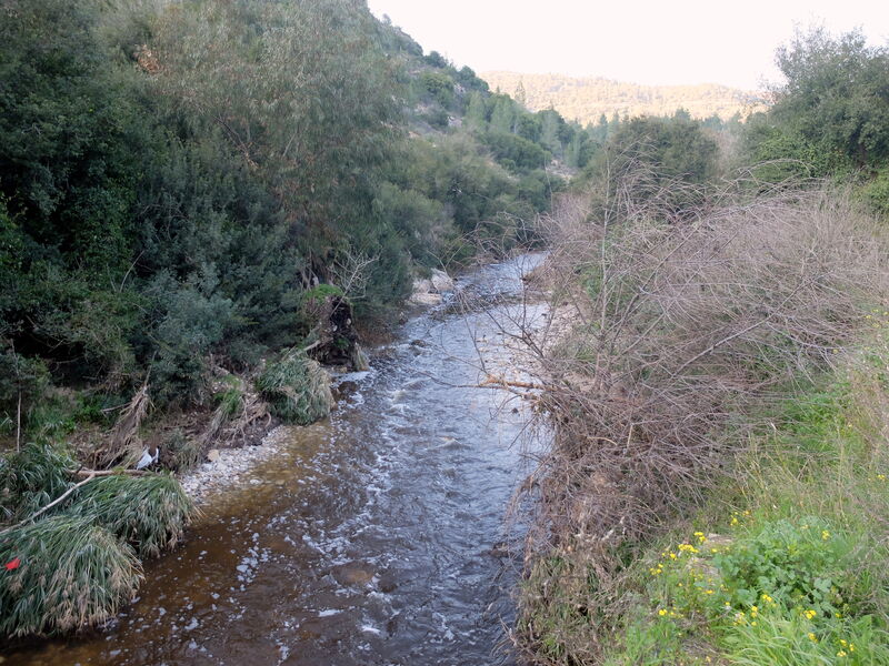 DSCF6051.thumb.JPG.b68bf16e08e381c5ef4da608819bd0e7.JPG