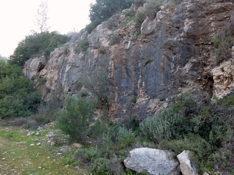 DSCF6052.thumb.JPG.5dab85f4dfa533089b654715522a805f.JPG