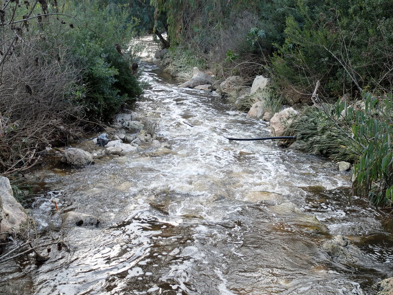 DSCF6055.thumb.JPG.8c0068db3b2335c4b119c6b77c894d65.JPG