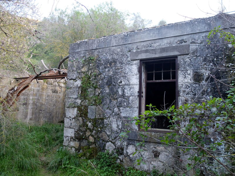 DSCF6058.thumb.JPG.a04c3849eeb1db4fb0002eada27e1564.JPG