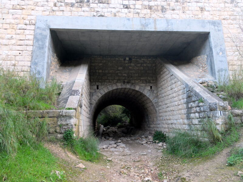 DSCF6064.thumb.JPG.98fc62e73f20cb9707f2c55ee5dfcc1c.JPG