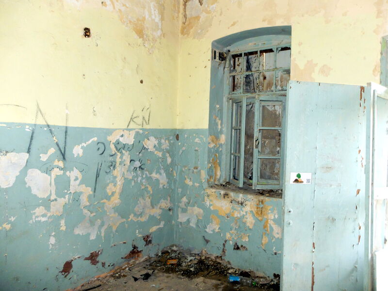 DSCF6098.thumb.JPG.03c5f437c017d445dd480e7ffd78c446.JPG