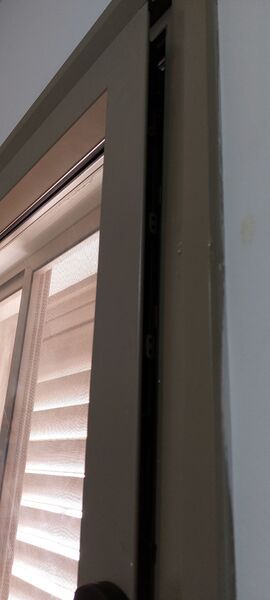 20230310_122039.jpg