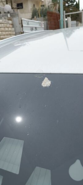 IMG_20230323_115542.jpg
