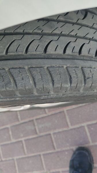 IMG-20230402-WA0038.jpeg