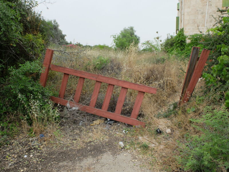 DSCF6153.thumb.JPG.9d38e08f2cf3811906f6571f6a62cf39.JPG
