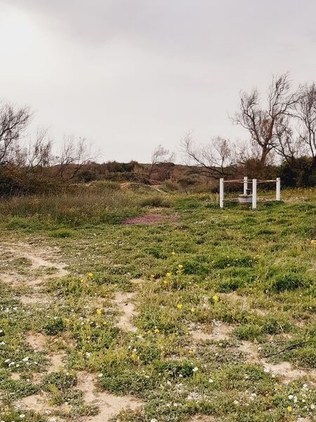 20220321_165909.jpg