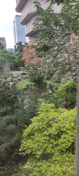 20230823_085415.jpg