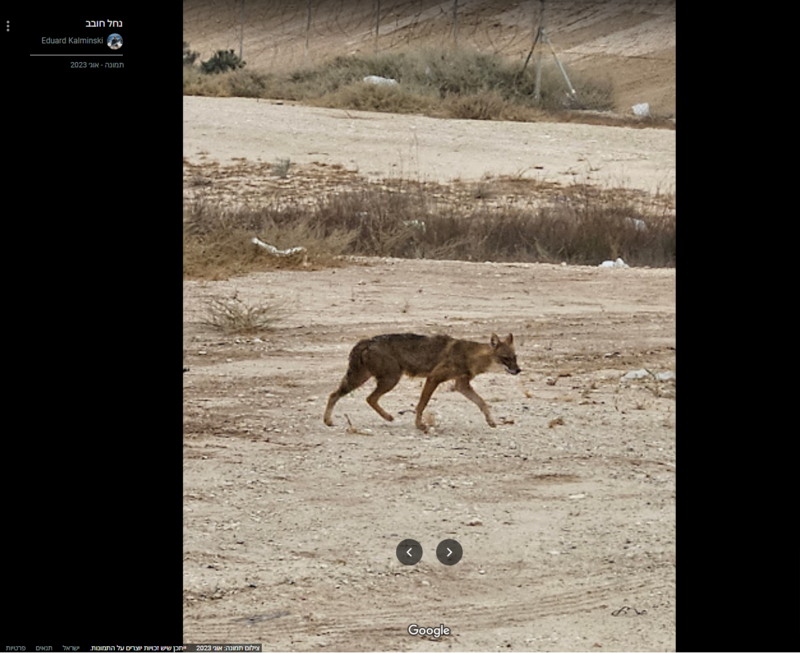screenshot-www.google.com-2023_10.16-21_45_43.thumb.png.42872aff4b78251d3014678a9e728b6f.png