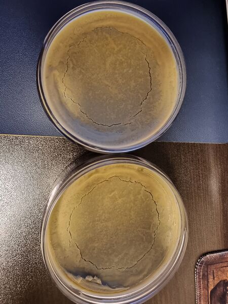 20231107_100633.jpg