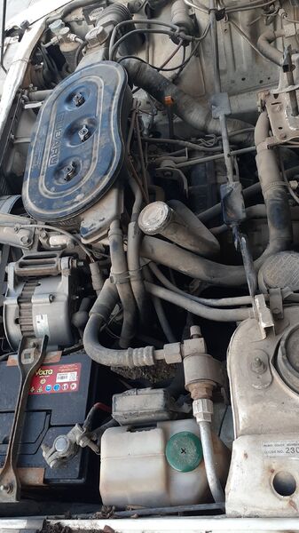 IMG-20231206-WA0127.jpeg