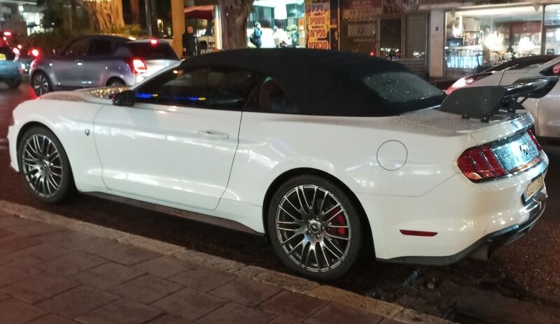 mustang-IMG_20231212_175616.jpg
